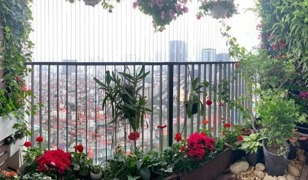 Ban công rất đẹp và rực rõ mà không sợ các đồ vật rơi xuống dưới đất